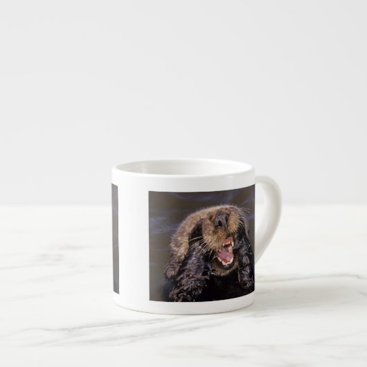 Zee Otters, Enhydra lutris 6 Espresso Kop (Voorkant rechts)