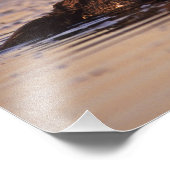 Zee Otters, Enhydra lutris 6 Foto Afdruk (Hoek)