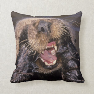 Zee Otters, Enhydra lutris 6 Kussen