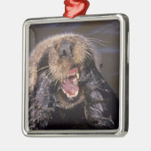 Zee Otters, Enhydra lutris 6 Metalen Ornament (Links)