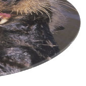 Zee Otters, Enhydra lutris 6 Snijplank (Hoek)