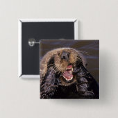 Zee Otters, Enhydra lutris 6 Vierkante Button 5,1 Cm (Voorkant /achterkant)