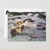 Zee Otters Holding Hands Briefkaart (Voorkant / Achterkant)