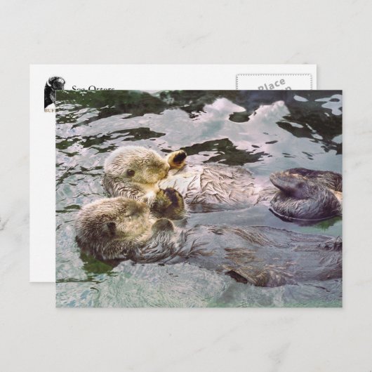 Zee Otters Holding Hands Briefkaart (Voorkant / Achterkant)