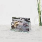 Zee Otters Holding Hands Kaart (Voorkant)