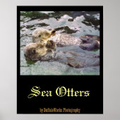 Zee Otters Holding Hands Poster (Voorkant)