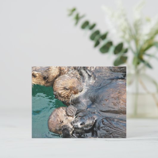 Zee Otters in Capture Pens Briefkaart (Staand voorkant)