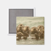 Zee Otters Magneet (Voorkant / Achterkant)