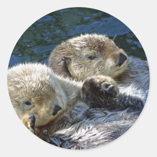 Zee-otters Ronde Sticker (Voorkant)