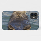 Zee otters spelen op ijsbergen bij verrassingsinla Case-Mate iPhone case (Achterkant (horizontaal))