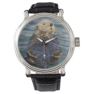 Zee otters spelen op ijsbergen bij verrassingsinla horloge