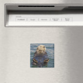 Zee otters spelen op ijsbergen bij verrassingsinla magneet (Insitu (Vaatwasser))