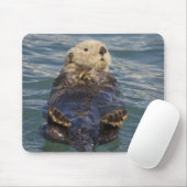 Zee otters spelen op ijsbergen bij verrassingsinla muismat (Met muis)