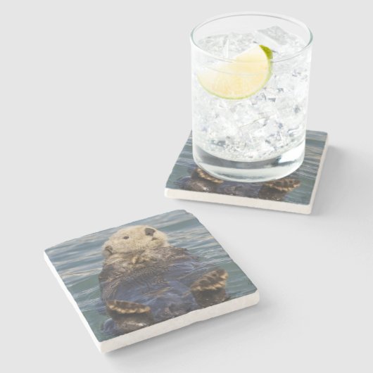 Zee otters spelen op ijsbergen bij verrassingsinla stenen onderzetter (Zijkant)