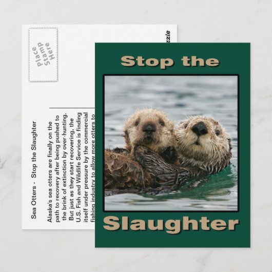 Zee Otters - Stop de slachting Briefkaart (Voorkant / Achterkant)