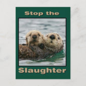 Zee Otters - Stop de slachting Briefkaart (Voorkant)