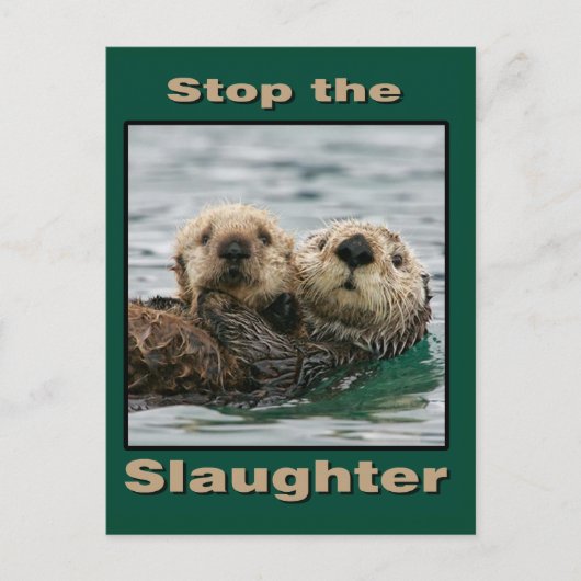 Zee Otters - Stop de slachting Briefkaart (Voorkant)