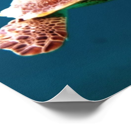 ZEE OVERSCHRIJDEN POSTER (Hoek)