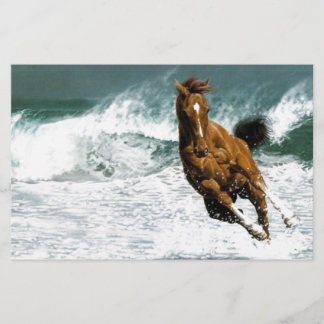 Zee paard