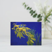 Zee paard briefkaart (Staand voorkant)