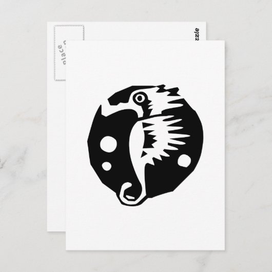 Zee paard briefkaart (Voorkant / Achterkant)