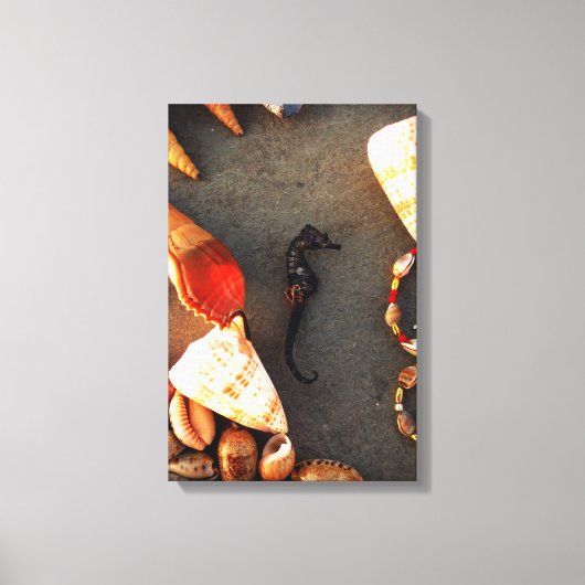 Zee paard canvas afdruk (Voorkant)