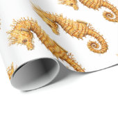 Zee paard Hippocampus hippocampus Cadeaupapier (Rol Hoek)