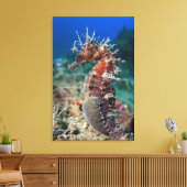 Zee paard | Hippocampus Ramulosus Canvas Afdruk (Insitu (Woonkamer))
