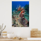 Zee paard | Hippocampus Ramulosus Poster (Keuken)
