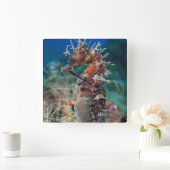 Zee paard | Hippocampus Ramulosus Vierkante Klok (Huis)
