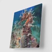 Zee paard | Hippocampus Ramulosus Vierkante Klok (Hoek)