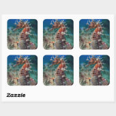 Zee paard | Hippocampus Ramulosus Vierkante Sticker (Vel)