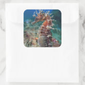 Zee paard | Hippocampus Ramulosus Vierkante Sticker (Tas)