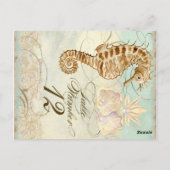 Zee Paard Kuststrand - Tafelnummer Briefkaart (Achterkant)