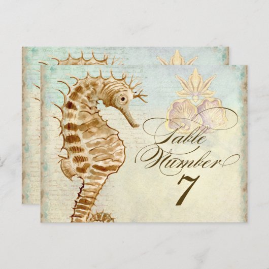 Zee Paard Kuststrand - Tafelnummer Briefkaart (Voorkant / Achterkant)