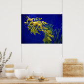 Zee paard poster (Keuken)