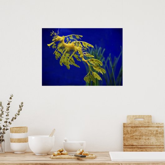 Zee paard poster (Keuken)