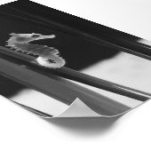Zee paard - zwart-wit poster (Hoek)