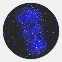 zee paard zwemt in licht