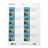 Zee Paarden Boekenlabel Etiket (Full Sheet)