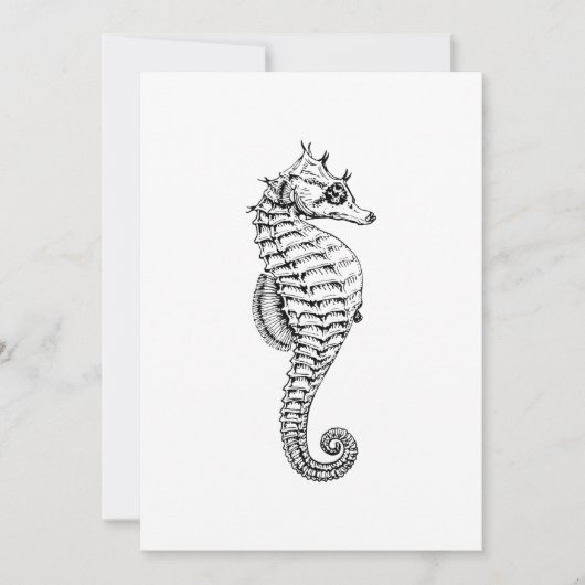 Zee Paarden Kaart (Voorkant)