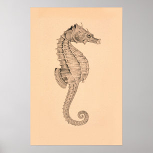  Zee Paardendiptych I Poster