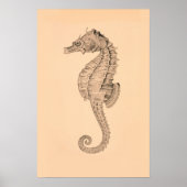  Zee Paardendiptych II Poster (Voorkant)