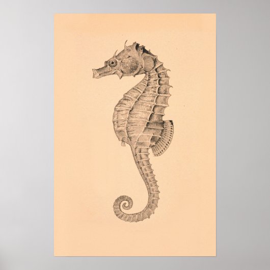 Zee Paardendiptych II Poster (Voorkant)