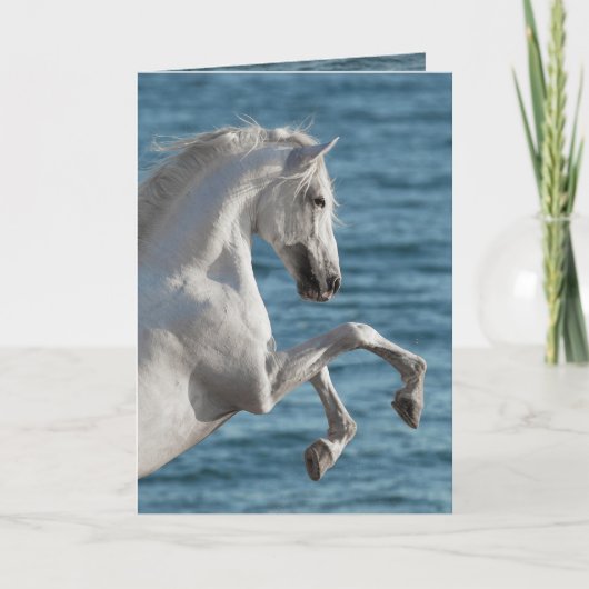 Zee paardenfokkerij - Wenskaart Kaart (Voorkant)