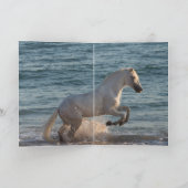 Zee paardenfokkerij - Wenskaart Kaart (Binnen)