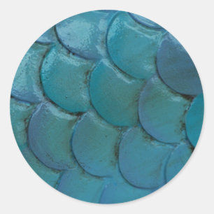 Zee-Paardenweegschalen Sticker