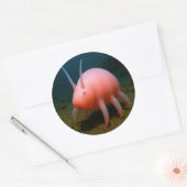 Zee Pig Surprise Ronde Sticker (Envelop)
