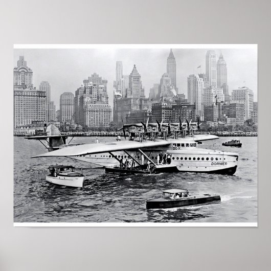 Zee Plane bezoekt de Big Apple Poster (Voorkant)