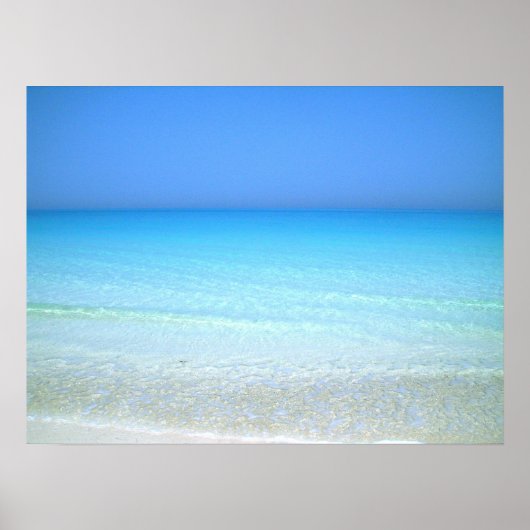 zee poster (Voorkant)